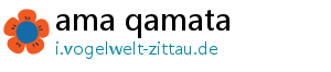 ama qamata