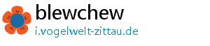 blewchew