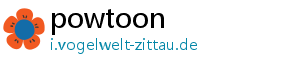 powtoon