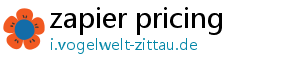 zapier pricing